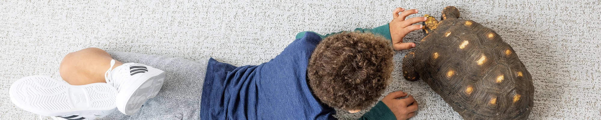 What CarpetsPlus by Design the BEST Choice for Flooring? CarpetsPlus by Design flooring associates will help you select the perfect flooring for your particular application.
